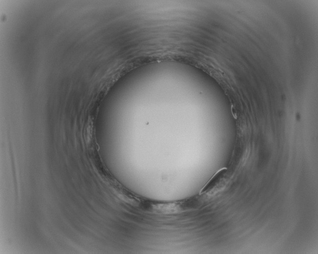 X0000073760133200608031120