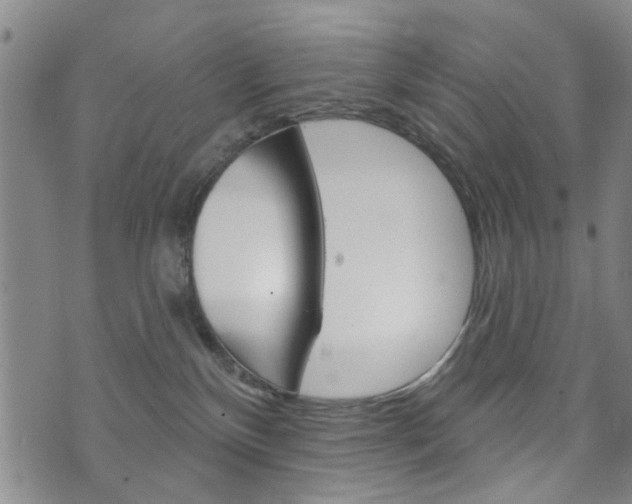 X0000073760136200608031120