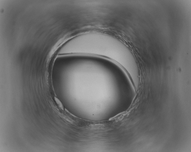 X0000073760150200608031119
