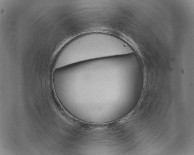 X0000073760155200608031119