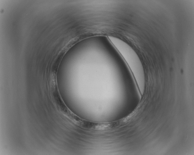X0000073760172200608031119