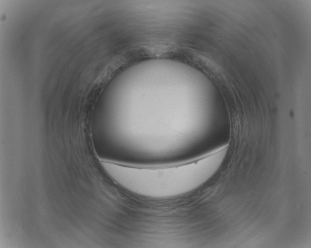 X0000073760221200608031118