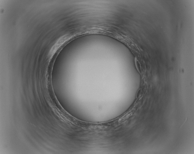 X0000073760242200608031117