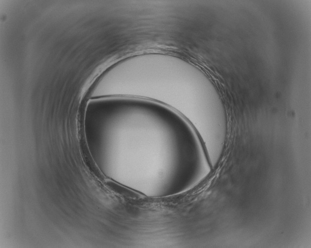 X0000073760244200608031117