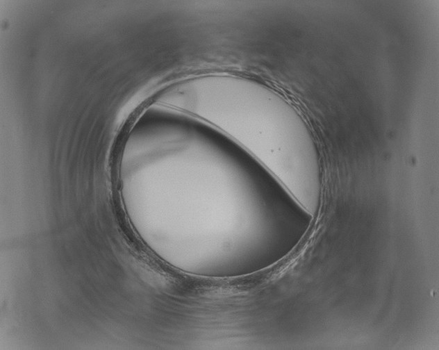 X0000073760246200608031117
