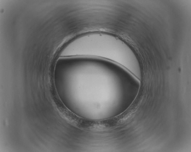 X0000073760256200608031117