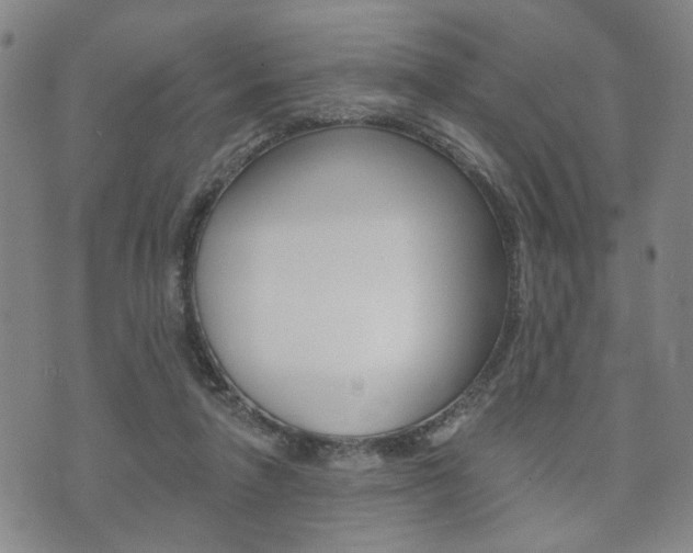 X0000073760258200608031117
