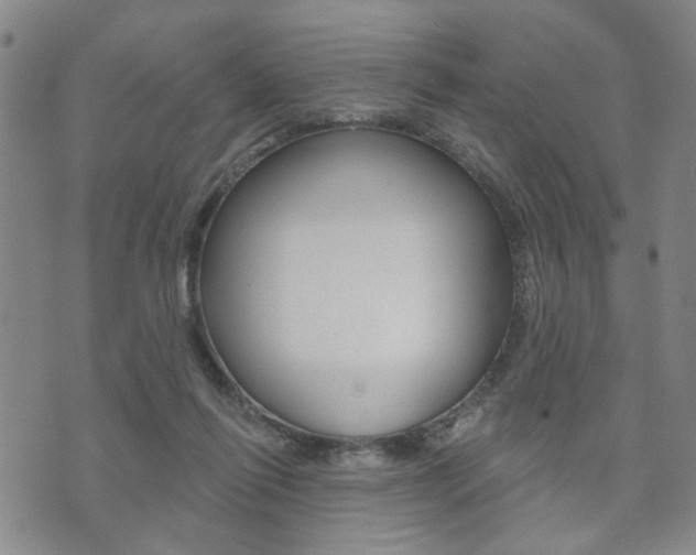 X0000073760262200608031118