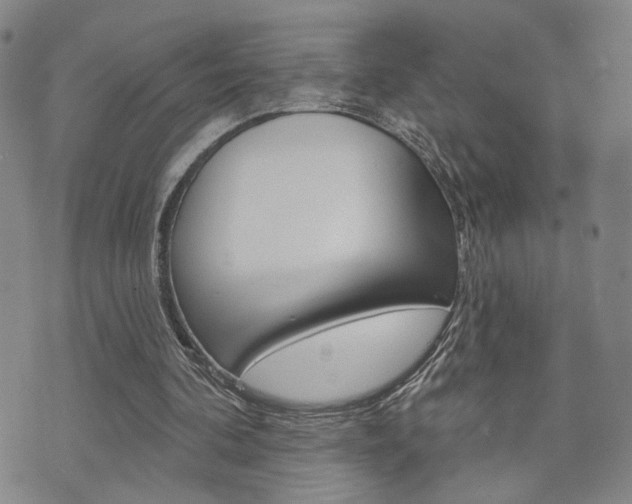 X0000073760292200608031117