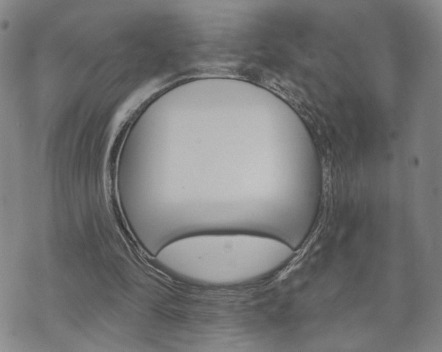 X0000073760294200608031117