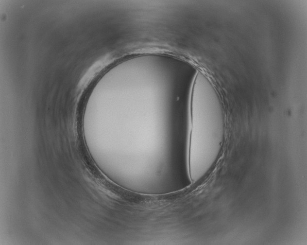 X0000073760296200608031117