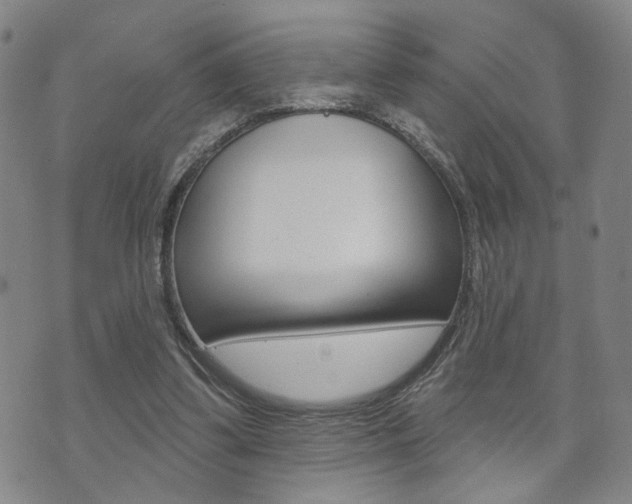X0000073760299200608031117