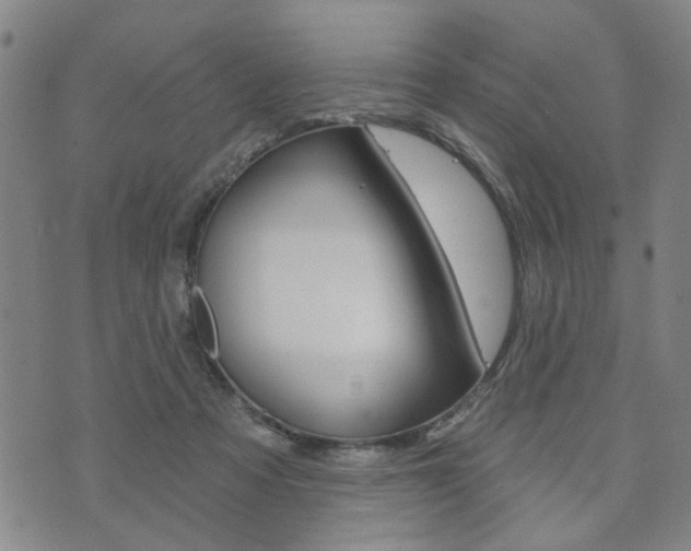 X0000073760313200608031117