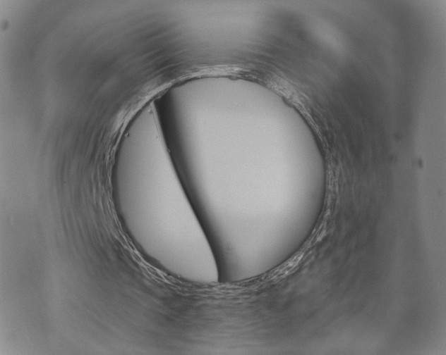X0000073760337200608031116
