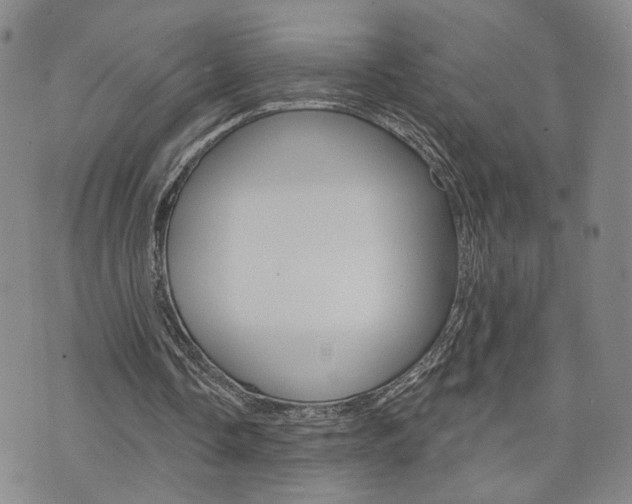 X0000073760338200608031116