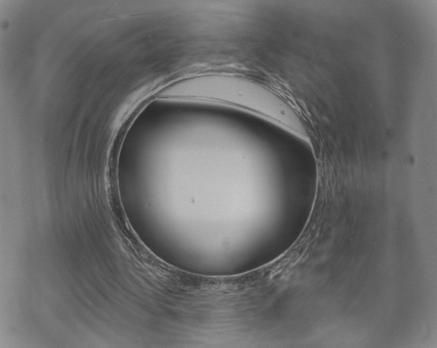 X0000073760340200608031116