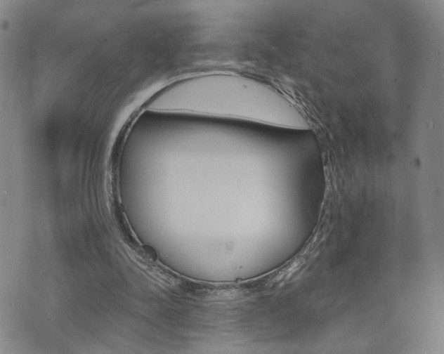 X0000073760342200608031116