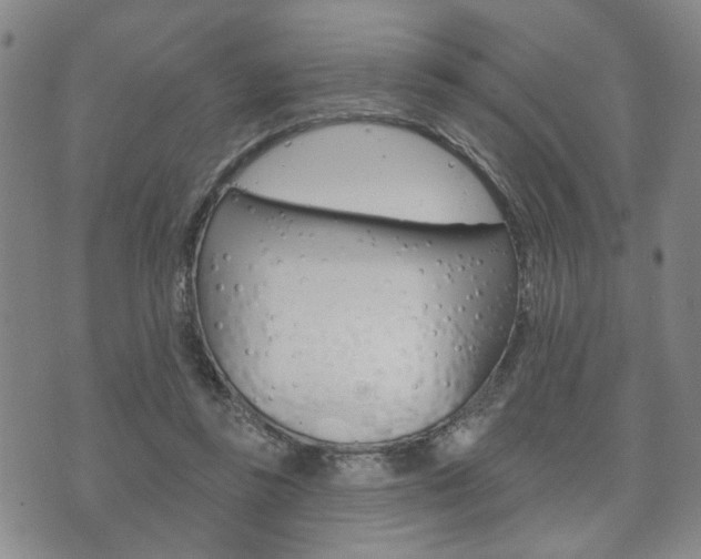 X0000073760355200608031116