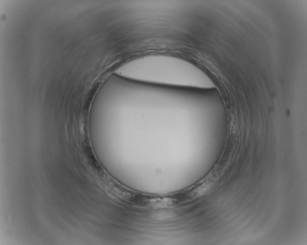 X0000073760363200608031116