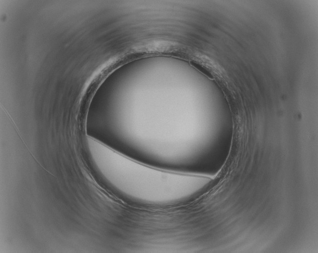 X0000073760392200608031115
