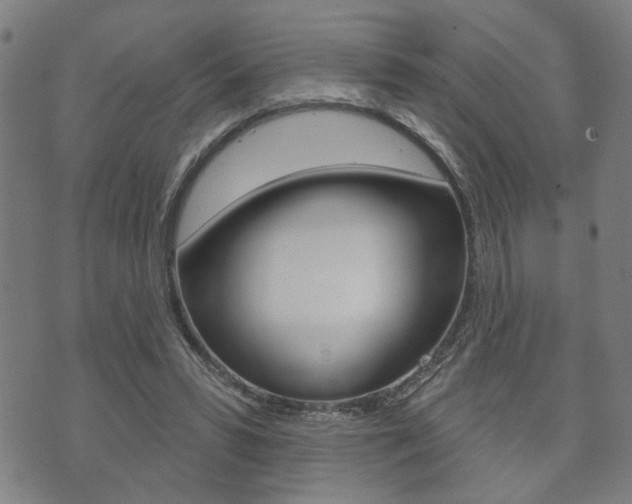 X0000073760399200608031115