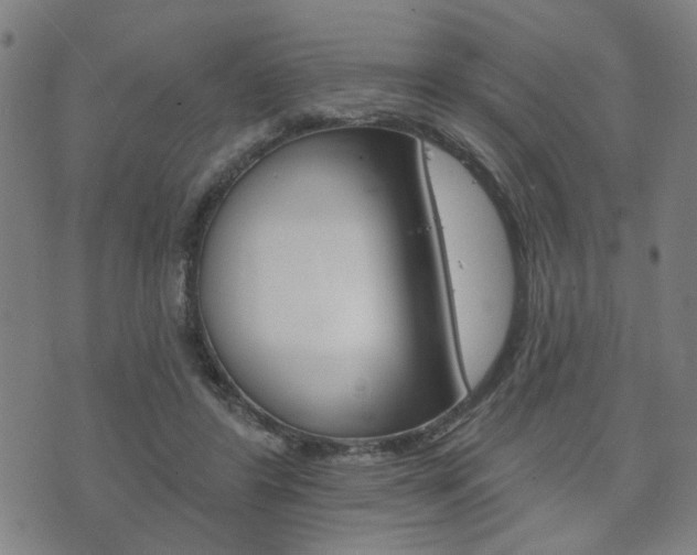 X0000073760404200608031115