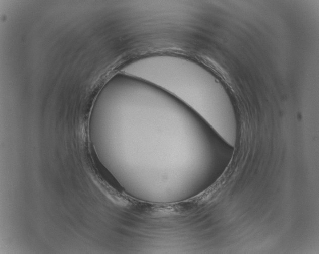 X0000073760405200608031115