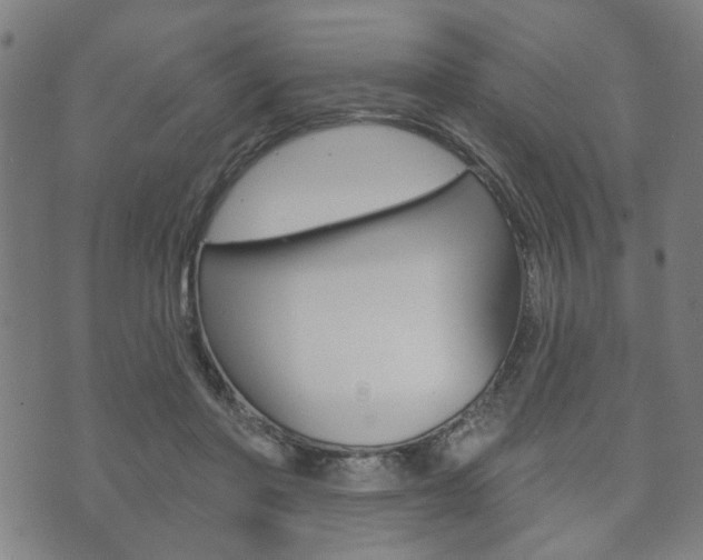 X0000073760406200608031115