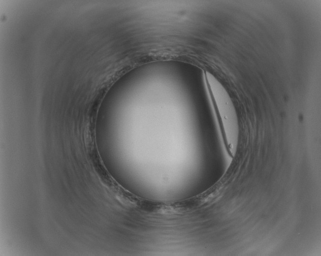 X0000073760416200608031115
