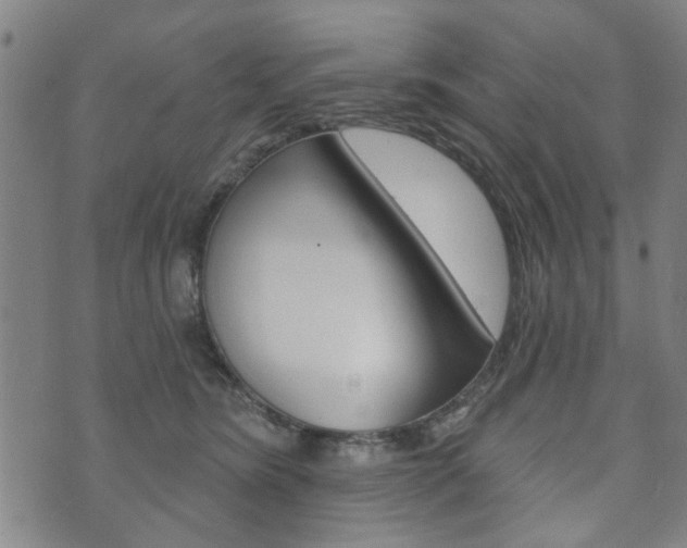 X0000073760420200608031115