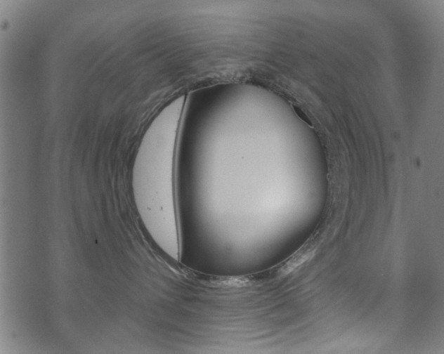X0000073760432200608031115