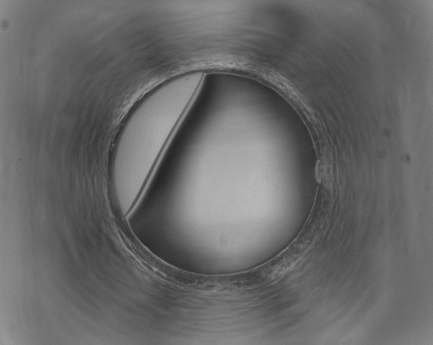 X0000073760434200608031114