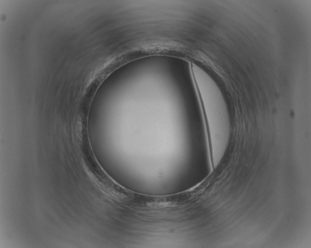 X0000073760448200608031114