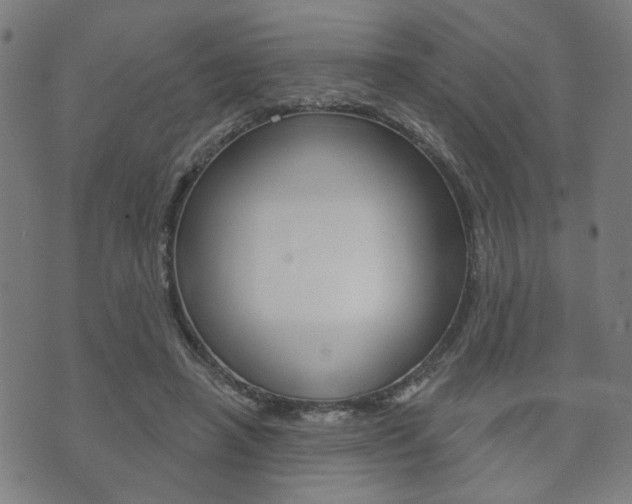 X0000073760450200608031114