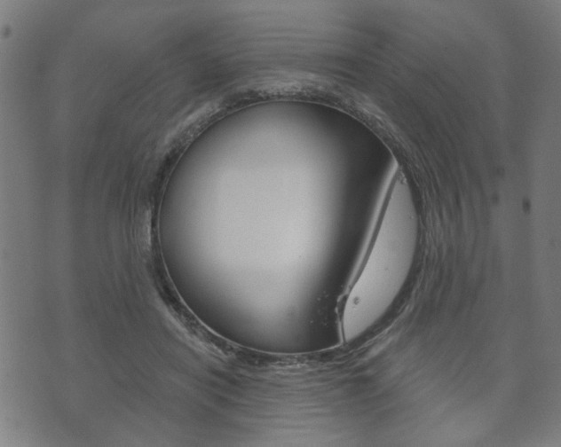 X0000073760454200608031114