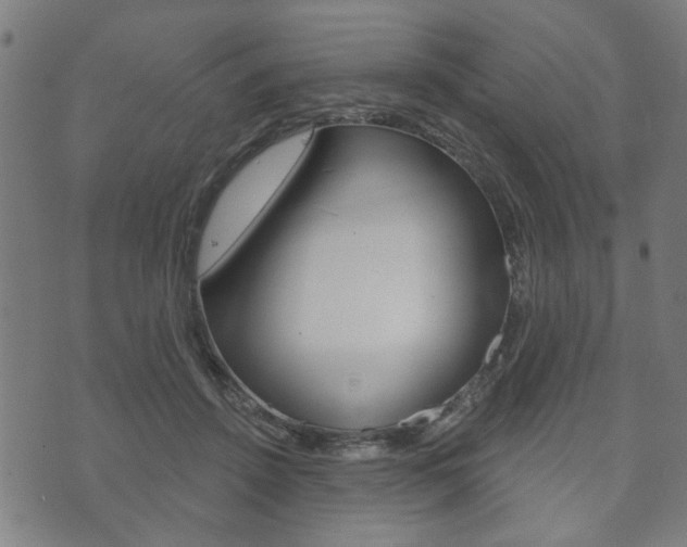 X0000073760456200608031114