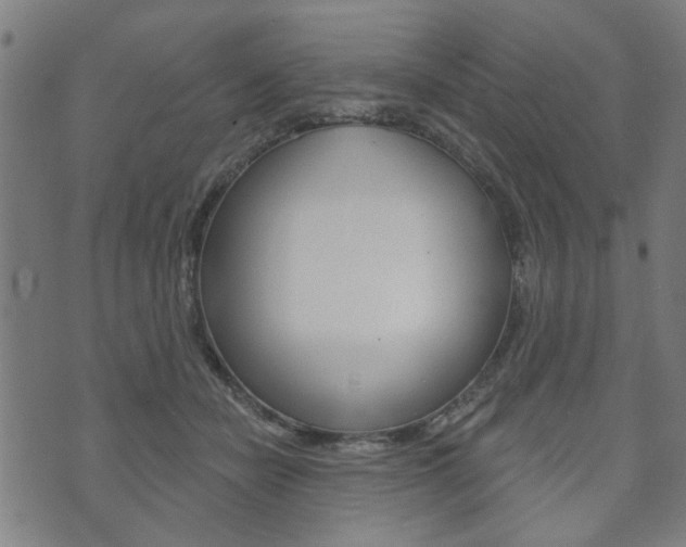 X0000073760462200608031115