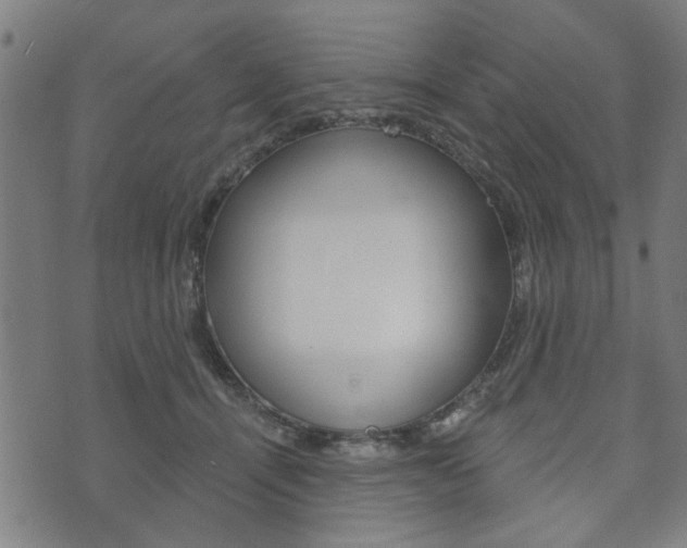 X0000073760464200608031115