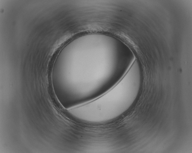 X0000073760488200608031114