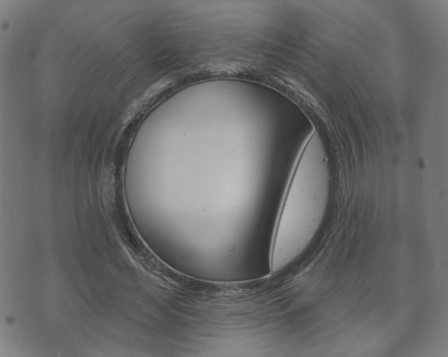 X0000073760492200608031114