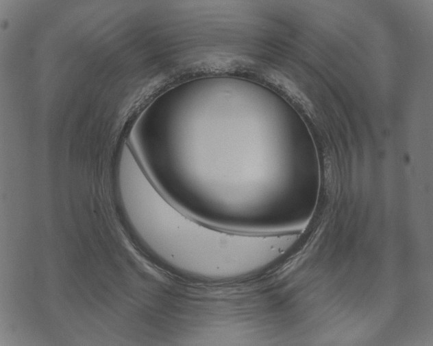 X0000073760493200608031114