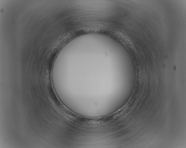 X0000073760498200608031114