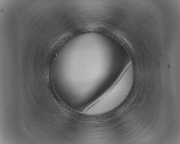 X0000073760505200608031114