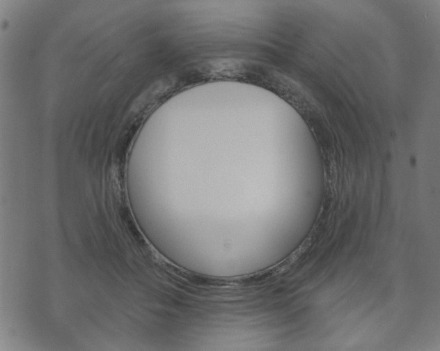X0000073760506200608031114