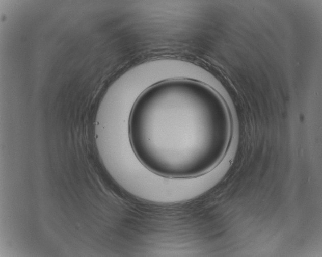X0000073760512200608031114