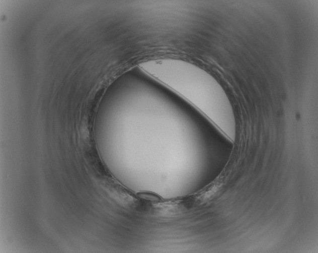 X0000073760516200608031113