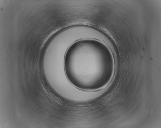 X0000073760531200608031113