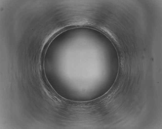 X0000073760532200608031113