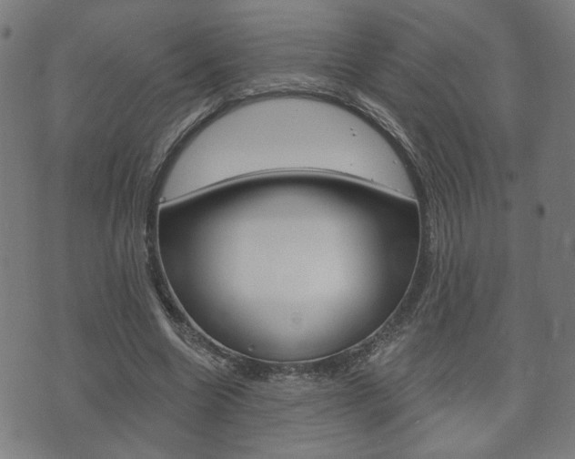 X0000073760538200608031113