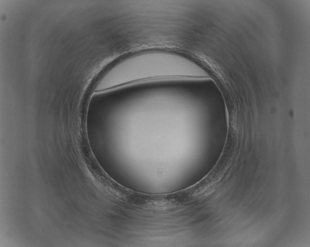 X0000073760540200608031113